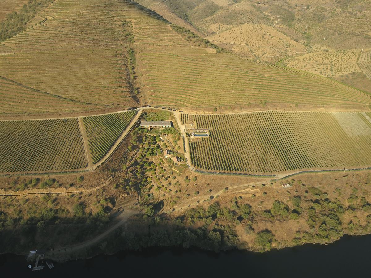 Casa Do Rio - Douro Wine Hotel By Vallado 빌라 노바 데 포즈코아 외부 사진